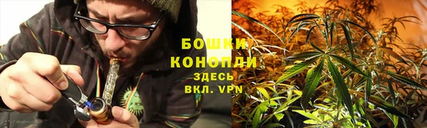 трава Абинск