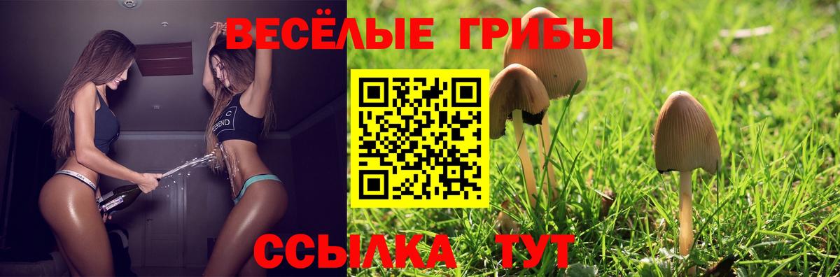 цены   Галлюциногенные грибы MAGIC MUSHROOMS  Вход с VPN  Лиски 