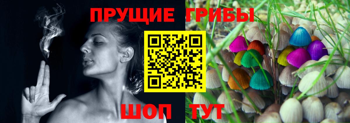 Псилоцибиновые грибы Psilocybine cubensis Лиски